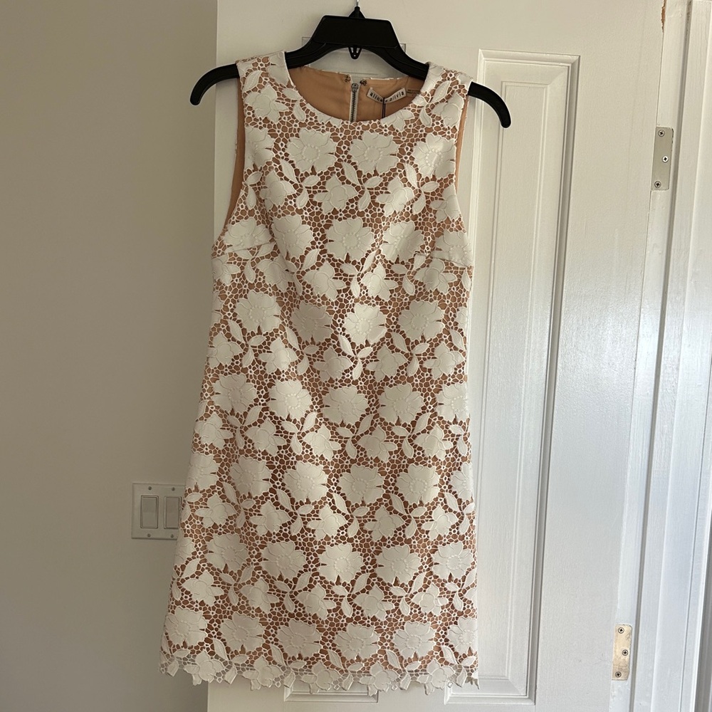 Alice + Olivia Cream and Brown Lace Mini Dress
NWT!
ADORABLE